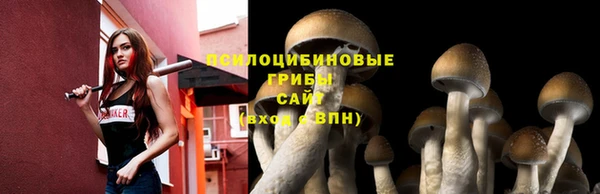 сатива Белоозёрский
