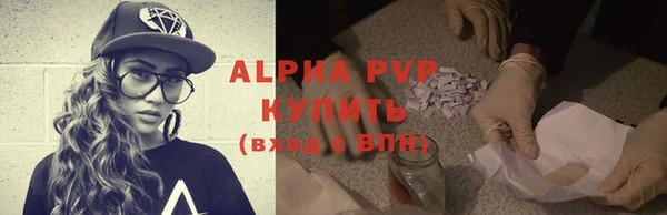 сатива Белоозёрский