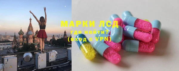 дмт Белокуриха