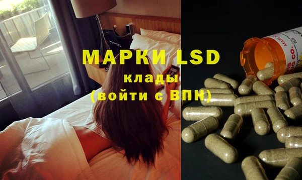 дмт Белокуриха
