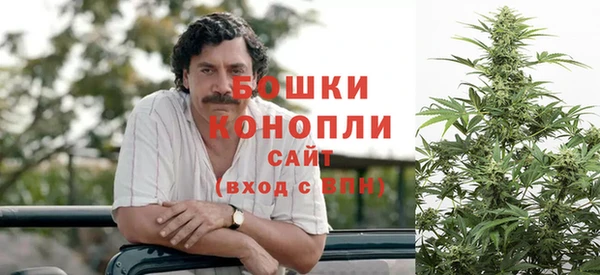 сатива Белоозёрский