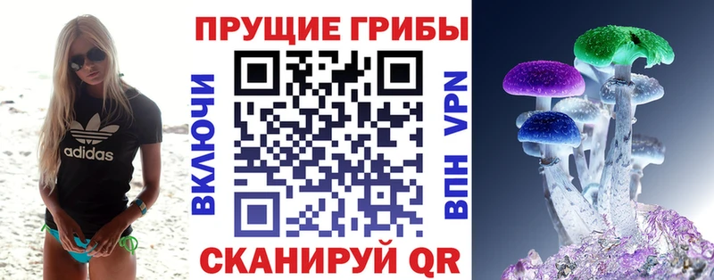 Галлюциногенные грибы GOLDEN TEACHER  Пестово 